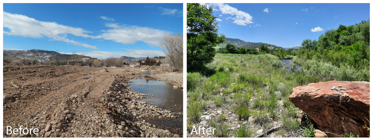 Side-by-side before-and-after photos of a creek corridor restoration, showing a barren, rocky channel before and a green, vegetated stream area after.